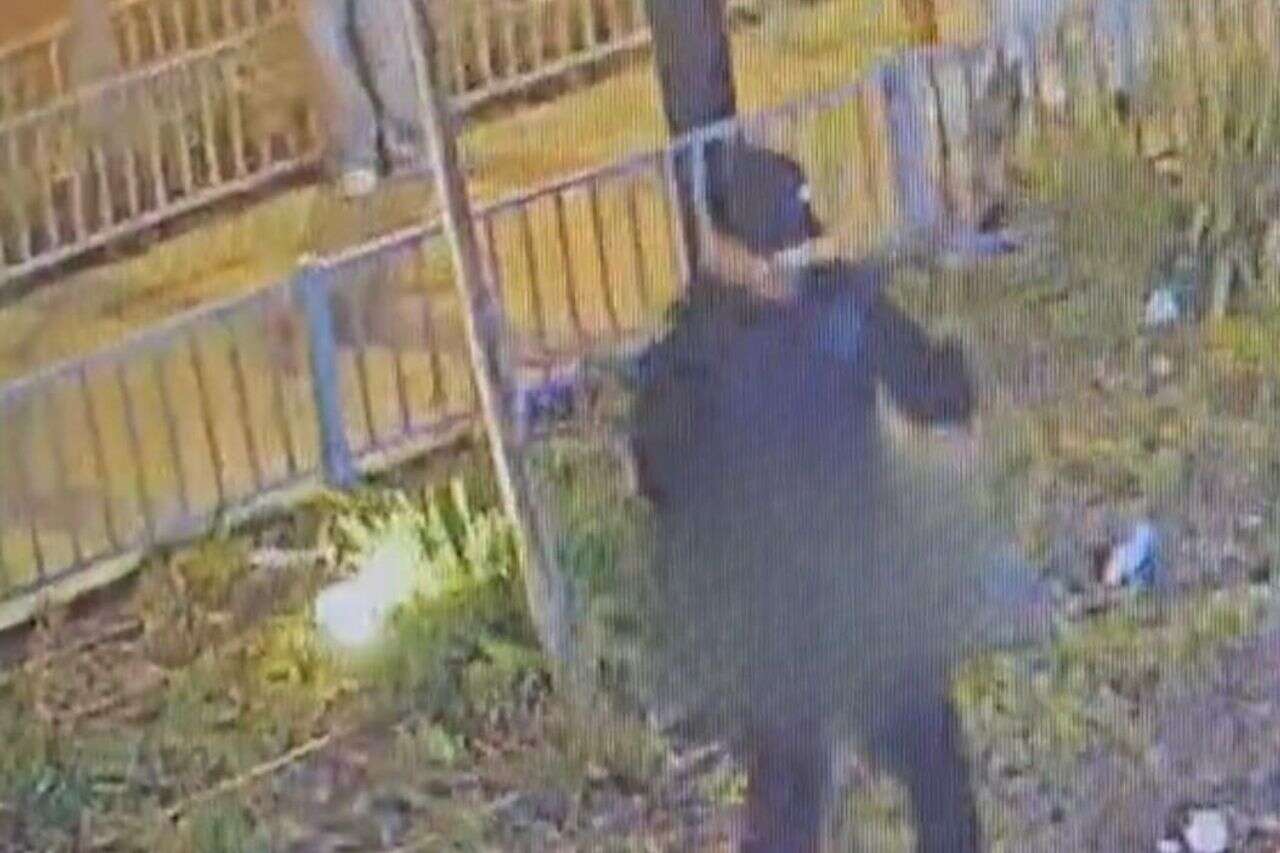 "We didn't want him to die": the boys suspected of murder in a pizzeria in Petah Tikva speak to the investigation