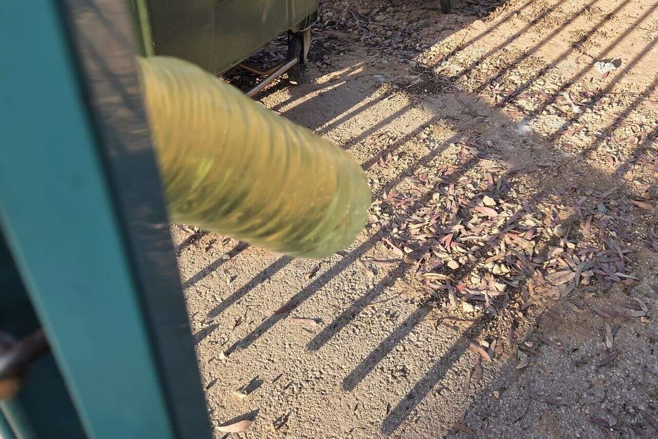 אירוע חמור בגליל: איום פרוטקשן בבית ספר יסודי | היום