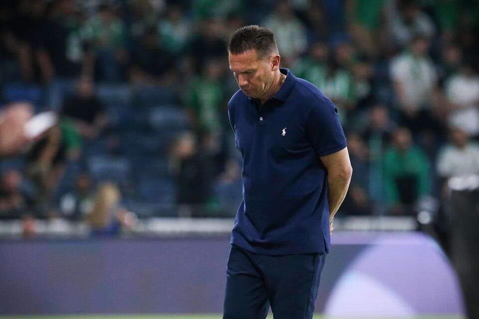 ברק בכר , עמי שומן