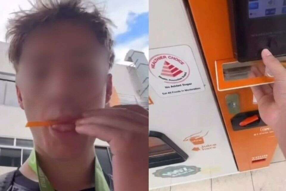 הצעיר שליקק קש , שימוש לפי סעיף 27א לחוק זכויות יוצרים