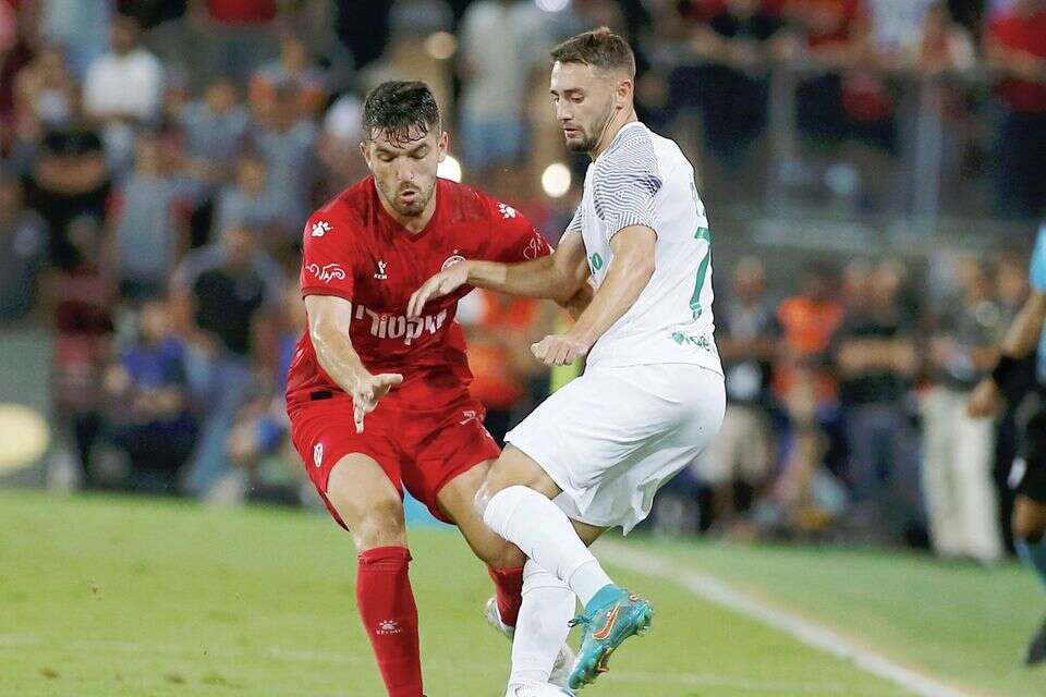 אביב סולומון מול עומר אצילי , אלן שיבר