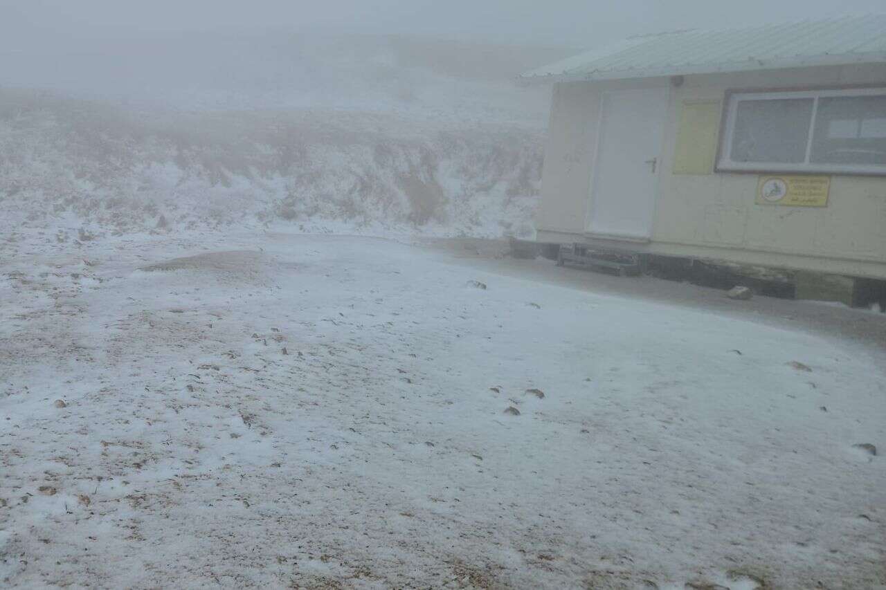 When was the last time this happened? Snow falls in Hermon - in May and the forecast for the rest | watch