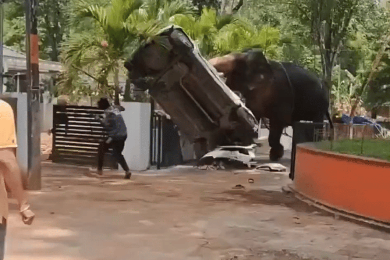 Watch: The elephant got out of control, went on a rampage in the village and killed a man