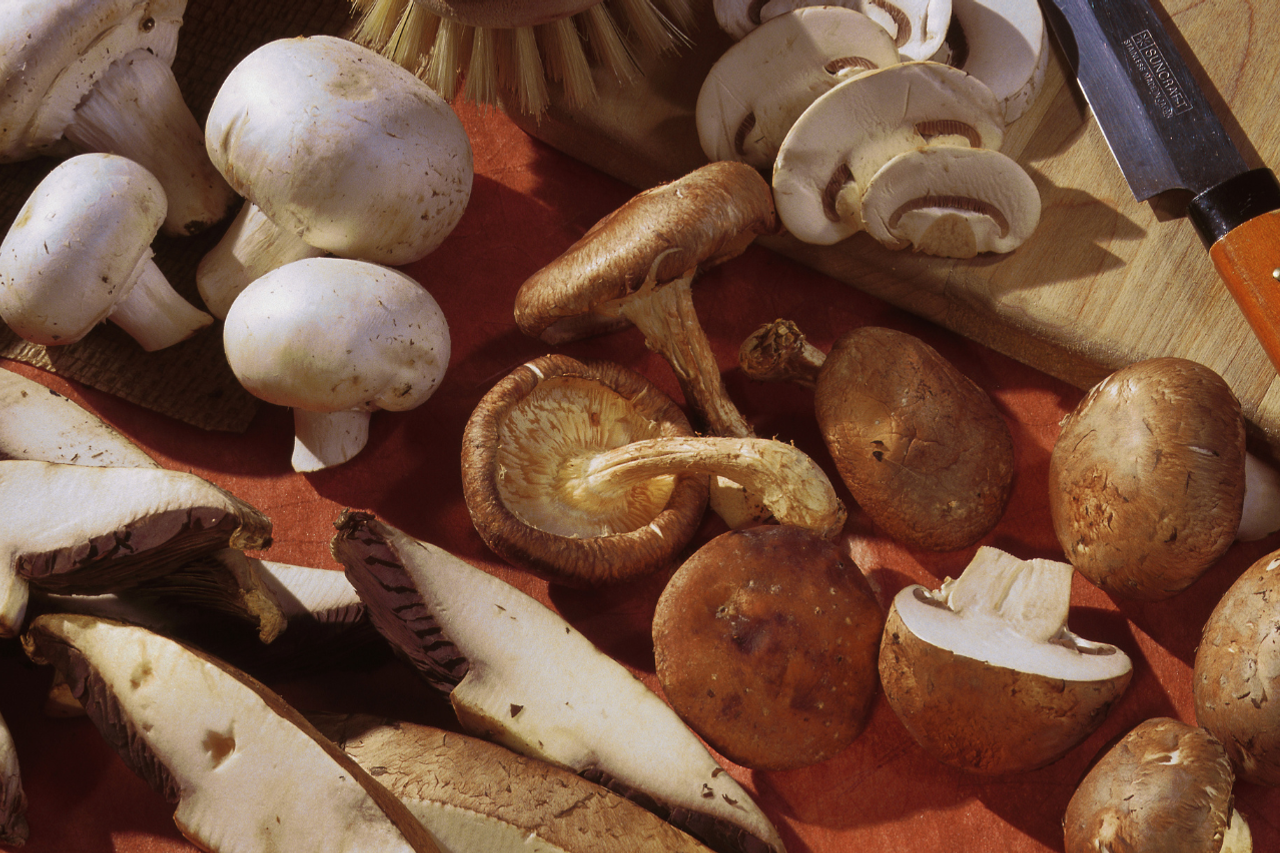You destroy the mushrooms: the critical mistakes most of us make