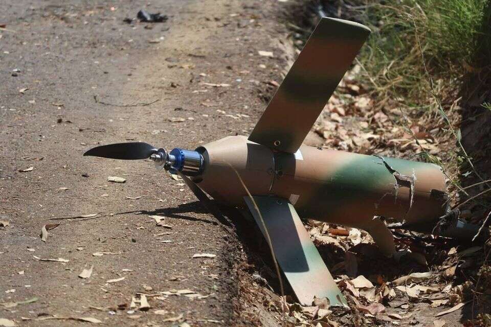 כטבם של חיזבאללה (ארכיון) , שושנה כהן, קק"ל