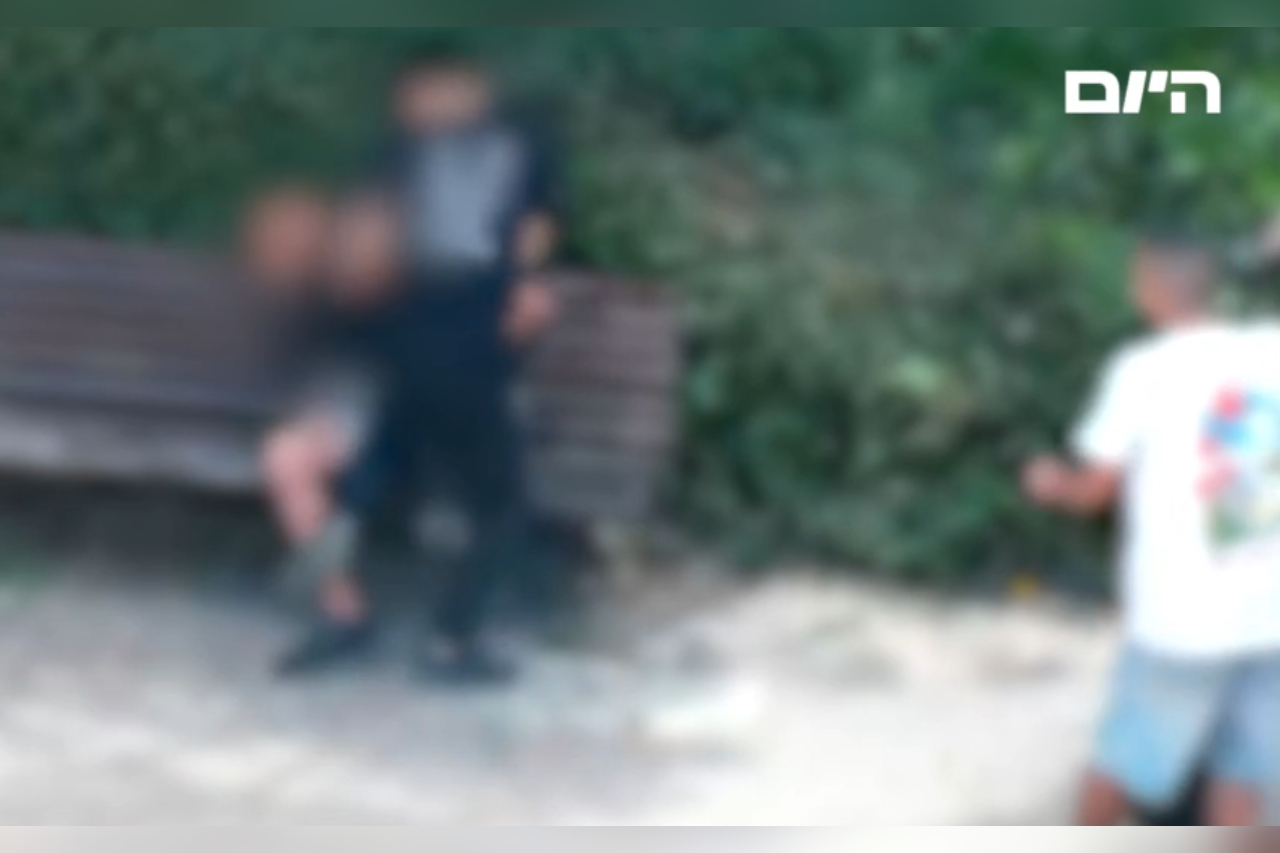 A 14-year-old called a friend to come to a public garden - and attacked him with severe violence Documentation
