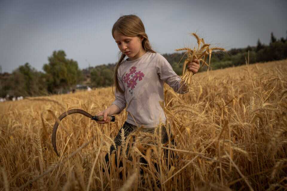 שבועות 2026: זמני כניסת וצאת החג , אורן בן חקון