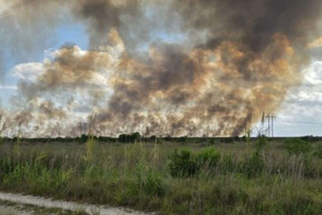 Florida in flames: 20,000 acres caught fire within hours Documentation