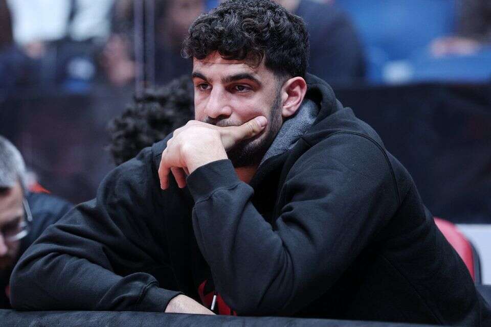 תומר גינת , אלן שיבר 