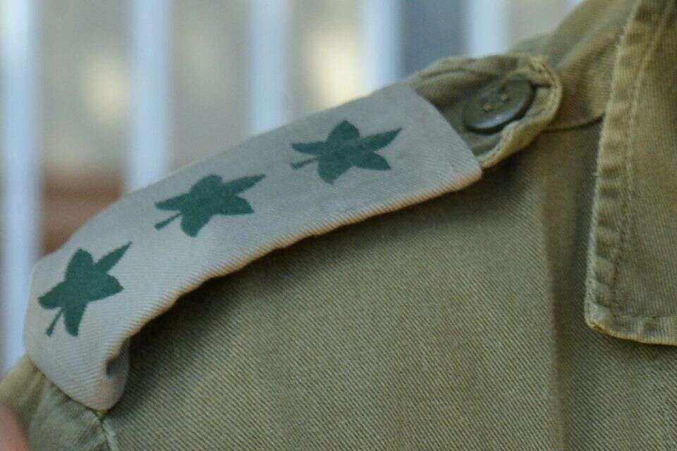 אל"מ (אילוסטרציה) , יוסי זליגר