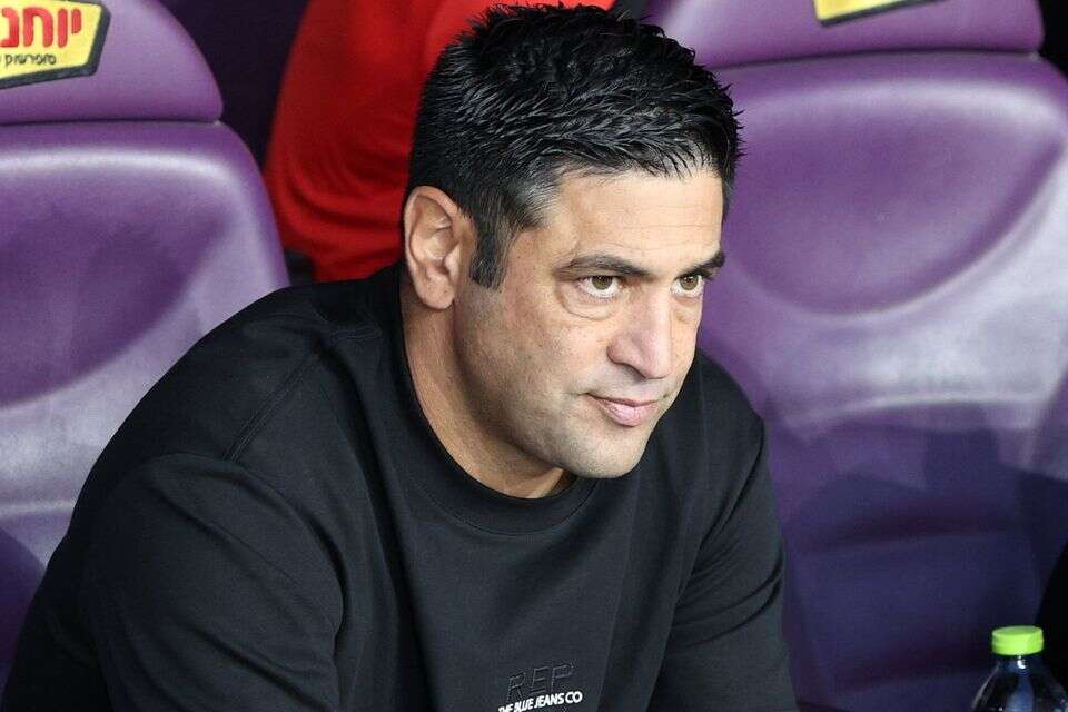 אליניב ברדה , אלן שיבר