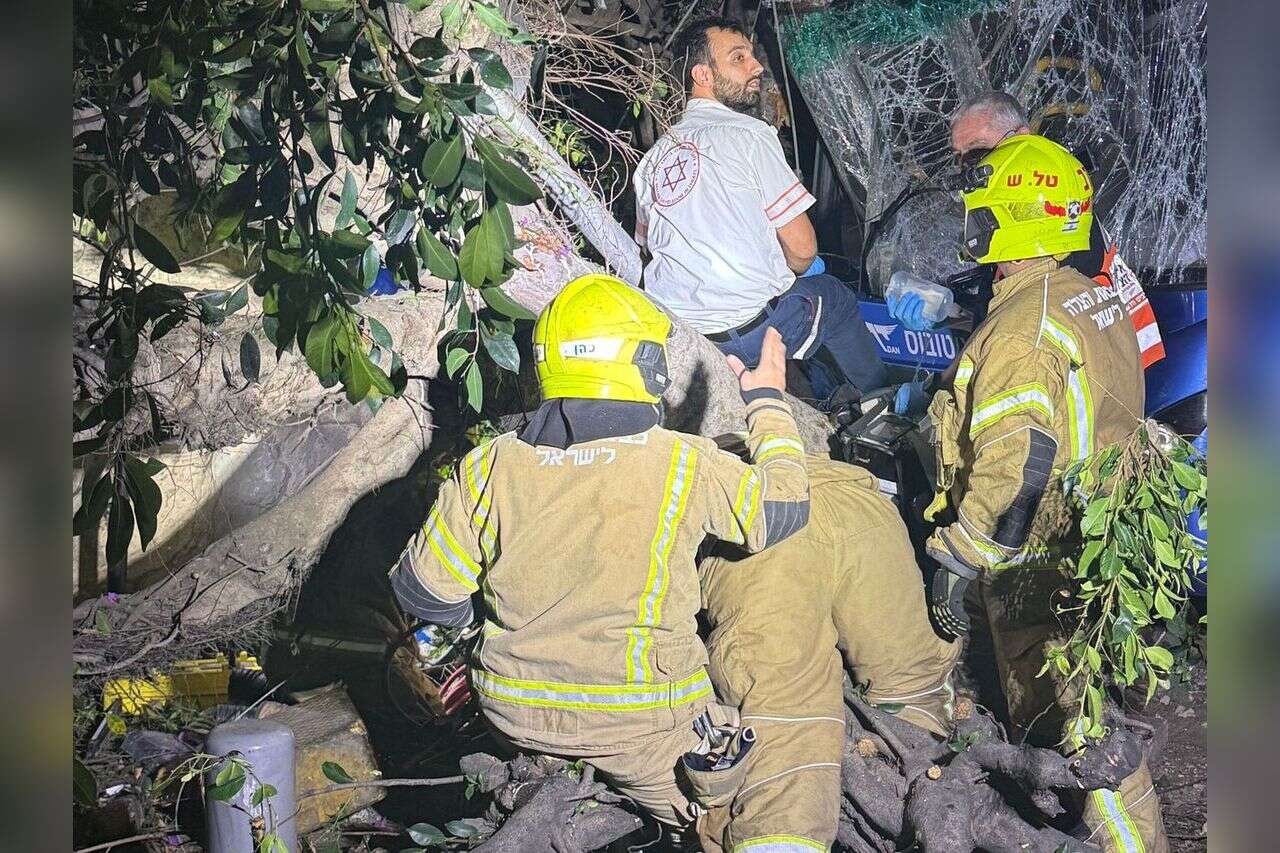 A bus collided with a tree in Tel Aviv: an 11-year-old girl is in critical condition, two are seriously injured and trapped