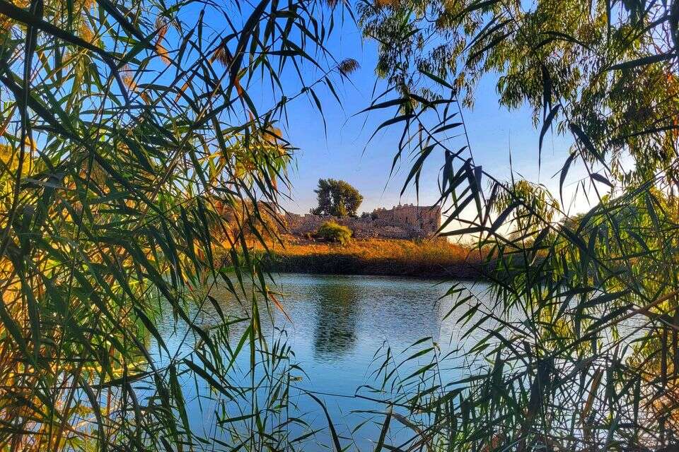 תל-אפק - סיור בין מתקנים מנדטוריים , שרית פלצי מיארה רשות הטבע והגנים