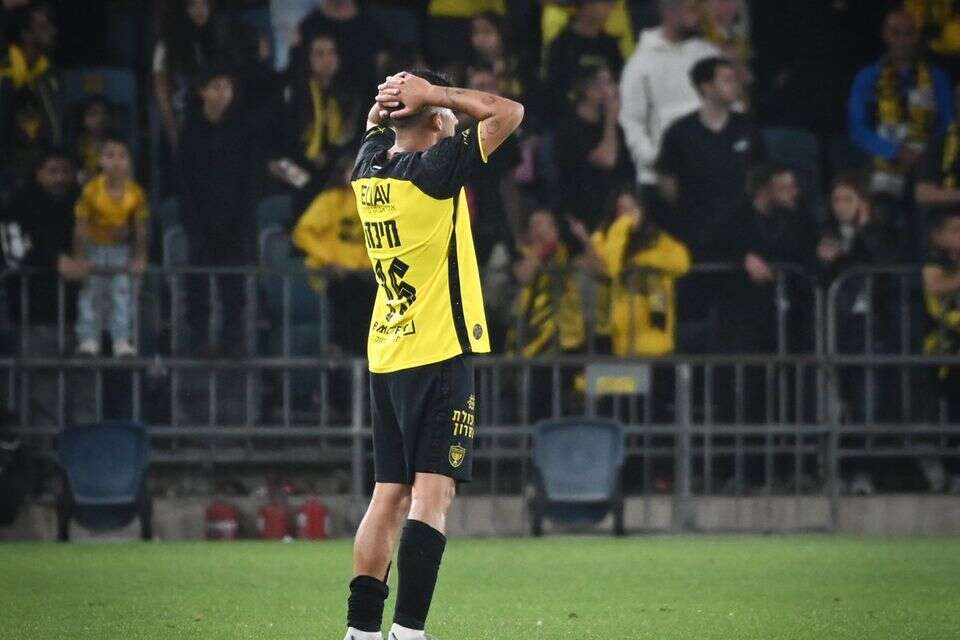דור מיכה , ברני ארדוב