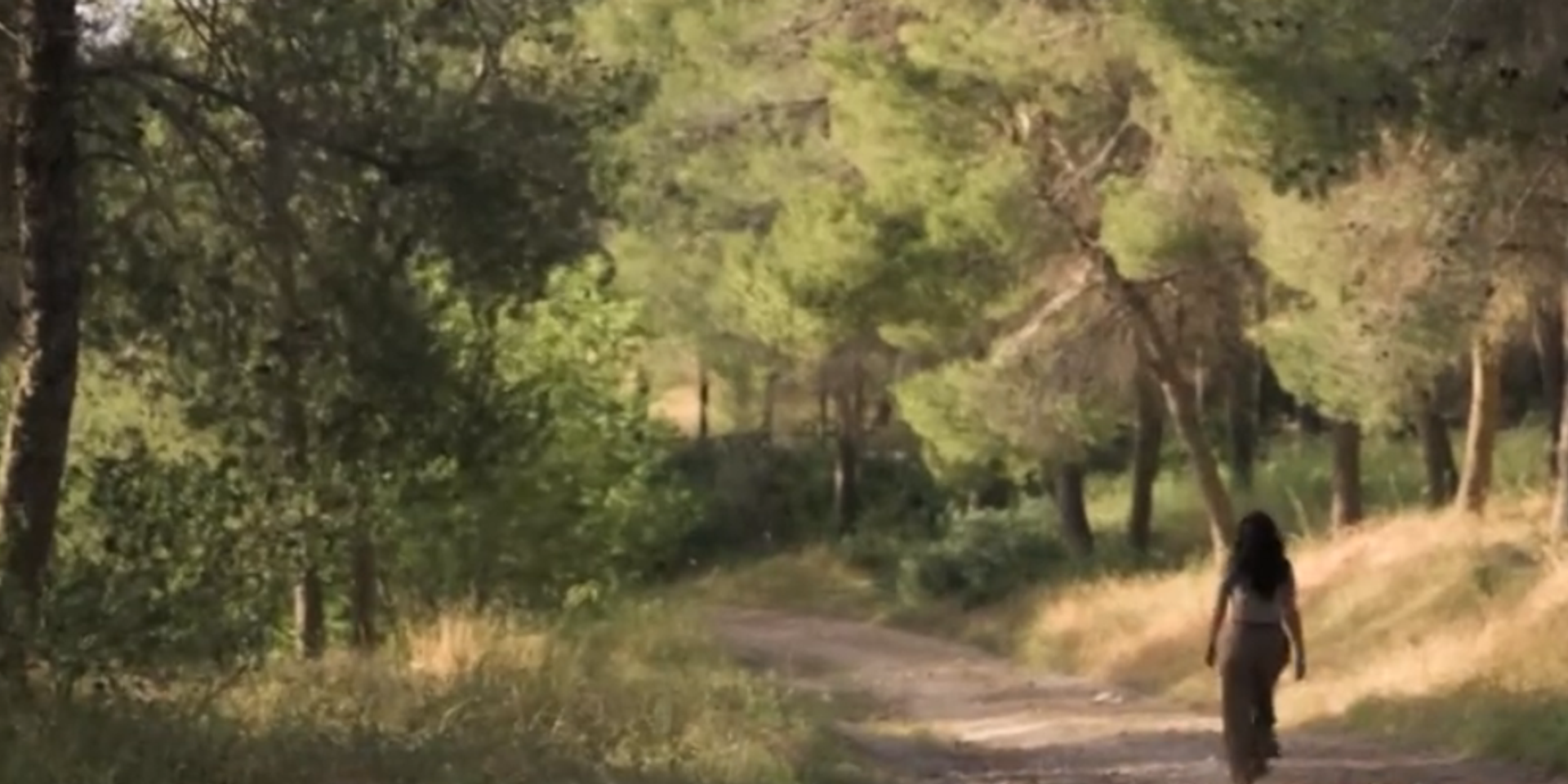 הצצה ל"זמן אמת" - פגיעות טקסיות , צילום מסך