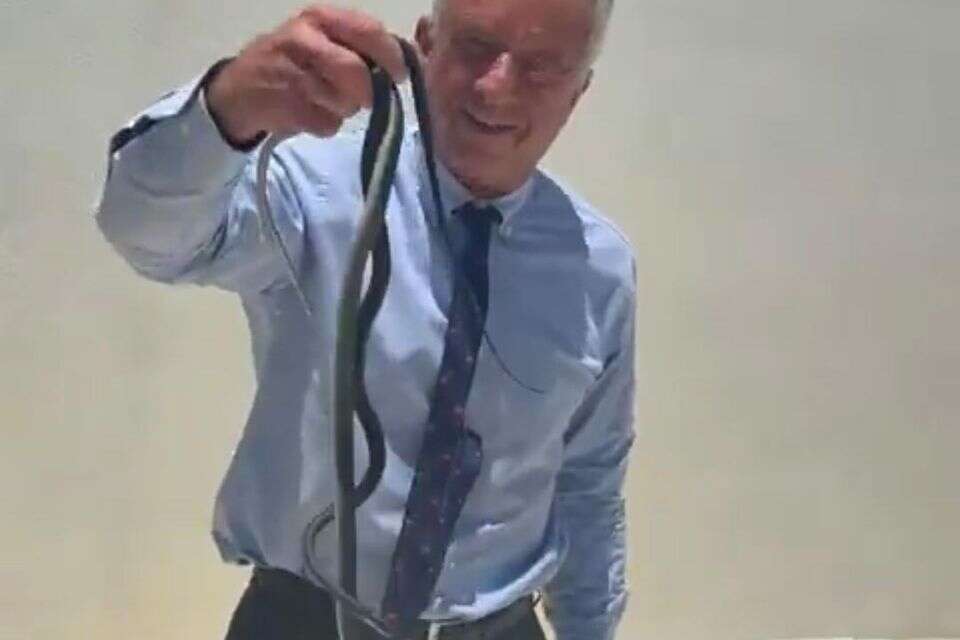 רוברט קנדי עם הנחשים , מתוך X