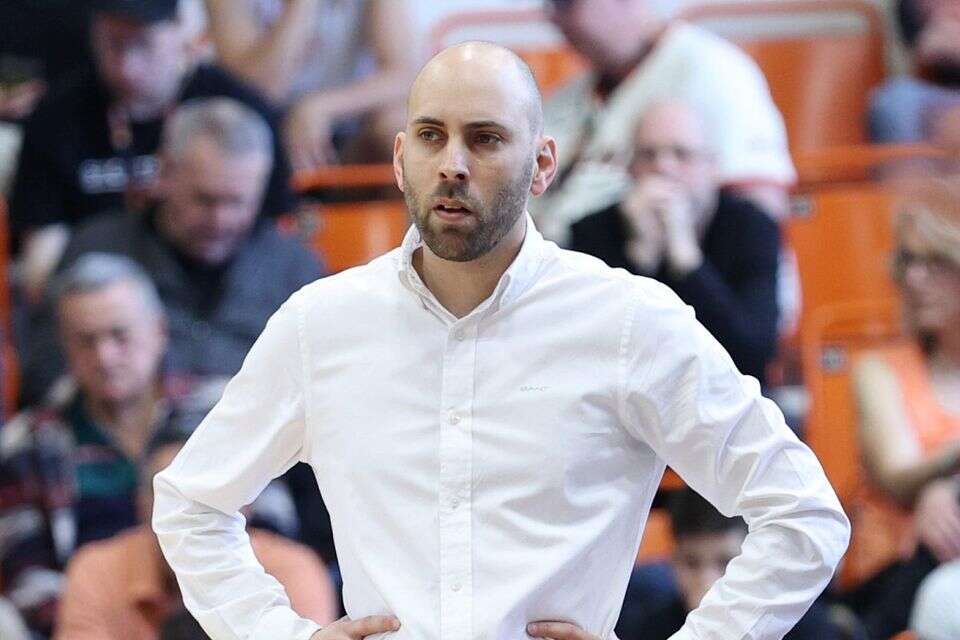 גיא קפלן , אלן שיבר