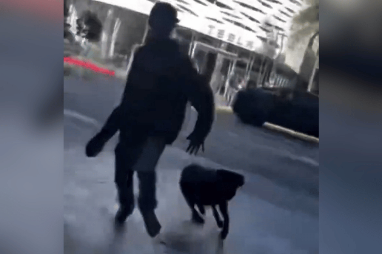 Boiling documentation: chased a Jewish couple - and let his dog attack them