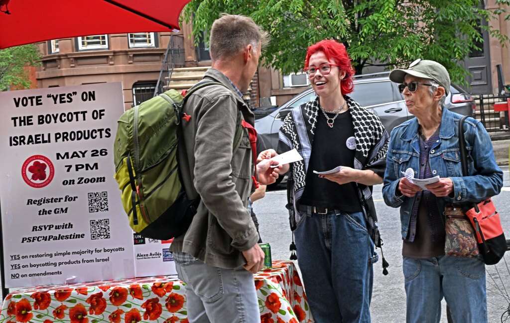 פעילי BDS משכנעים עוברי אורח להצביע בעד חרם על מוצרים ישראליים , ניו יורק פוסט