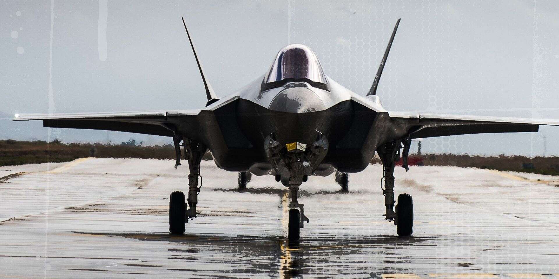 על כנפי השותפות. מטוס F-35  , דובר צה"ל