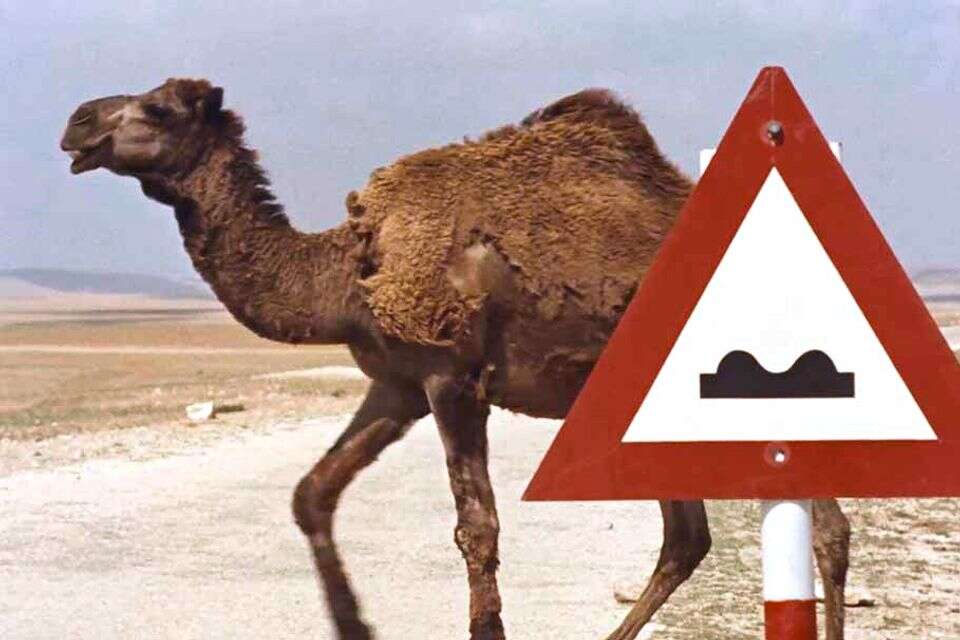 "הצד השלישי של המטבע", דוקאביב , יח"צ
