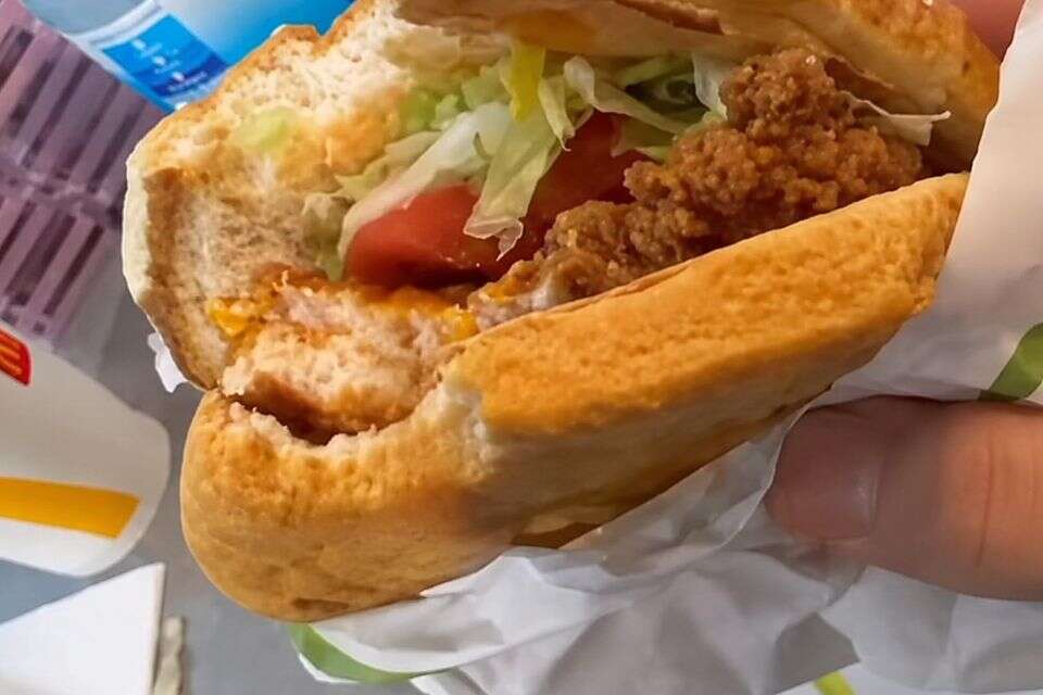 תולעת בהמבורגר של מקדונלד'ס בחולון , שימוש לפי סעיף 27א לחוק זכויות יוצרים