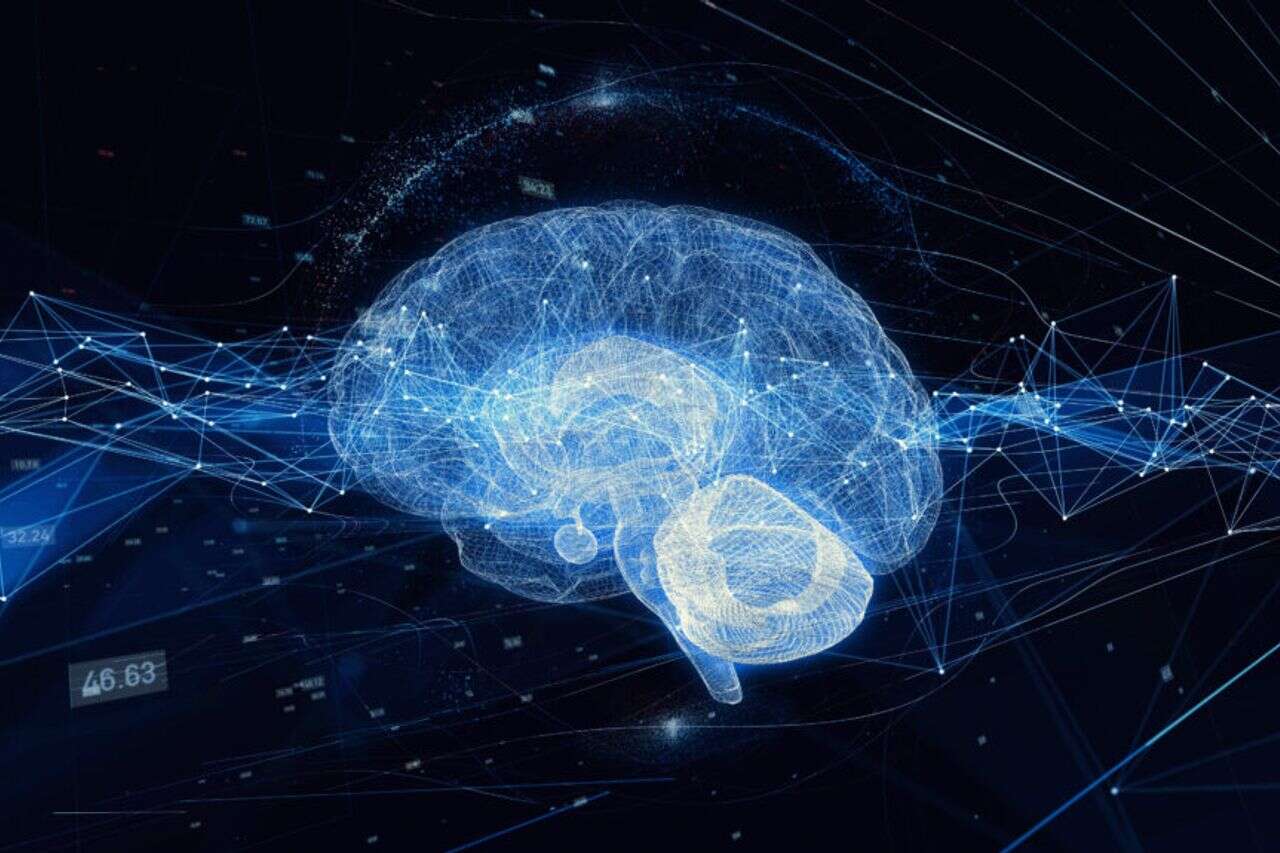 Brainless Human Bodies: The Secret Project in Silicon Valley