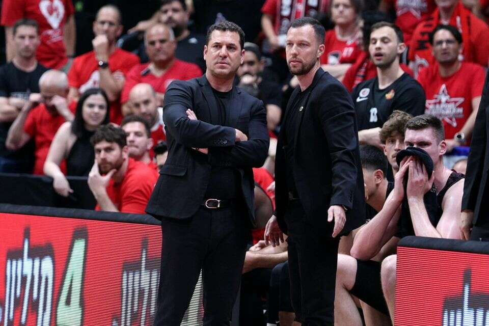 יונתן אלון ,