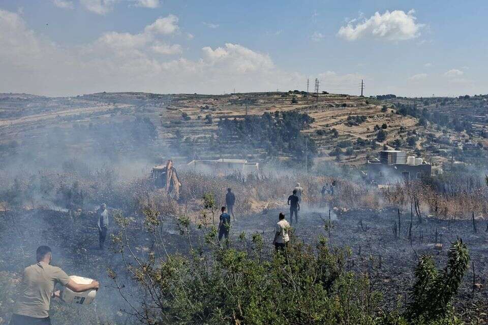טרור השריפות ביו"ש , ללא קרדיט