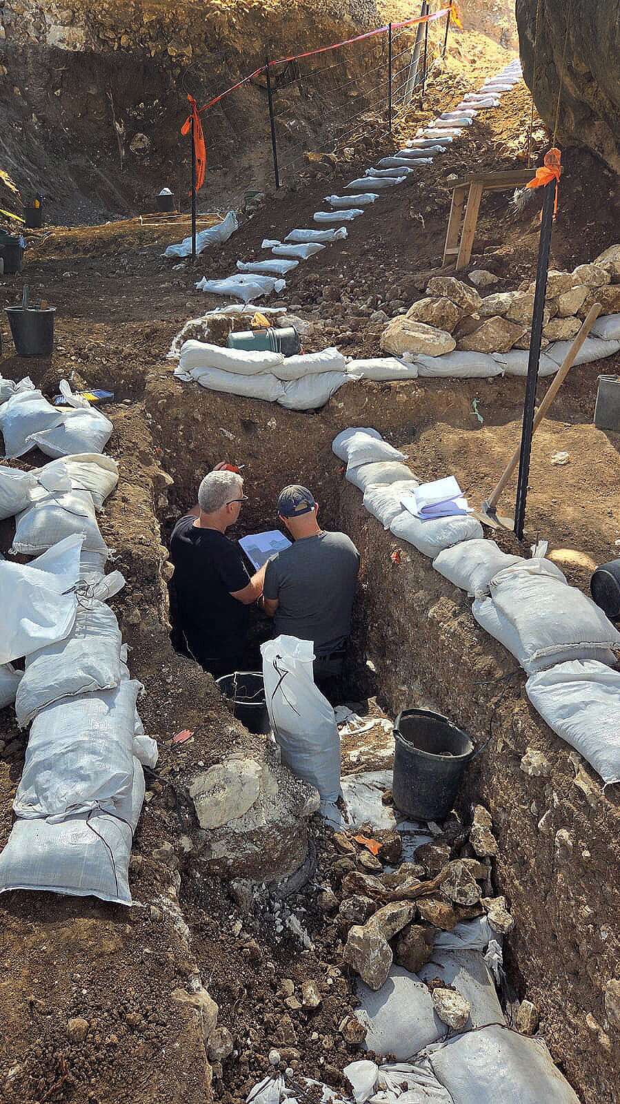 מערה פרה היסטורית נמצאה סמוך לזכרון יעקב , אמיל אלג'ם, רשות העתיקות