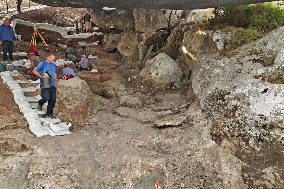 מערה פרה היסטורית נמצאה סמוך לזכרון יעקב , אמיל אלג'ם, רשות העתיקות