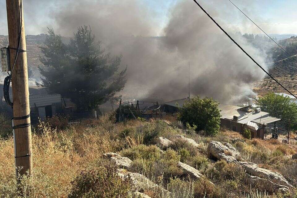 שריפה בבת עין , דוברות כבאות והצלה