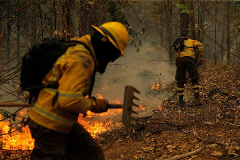 הטעות המדעית שכולנו מאמינים בה: מאיפה באמת מגיע החמצן