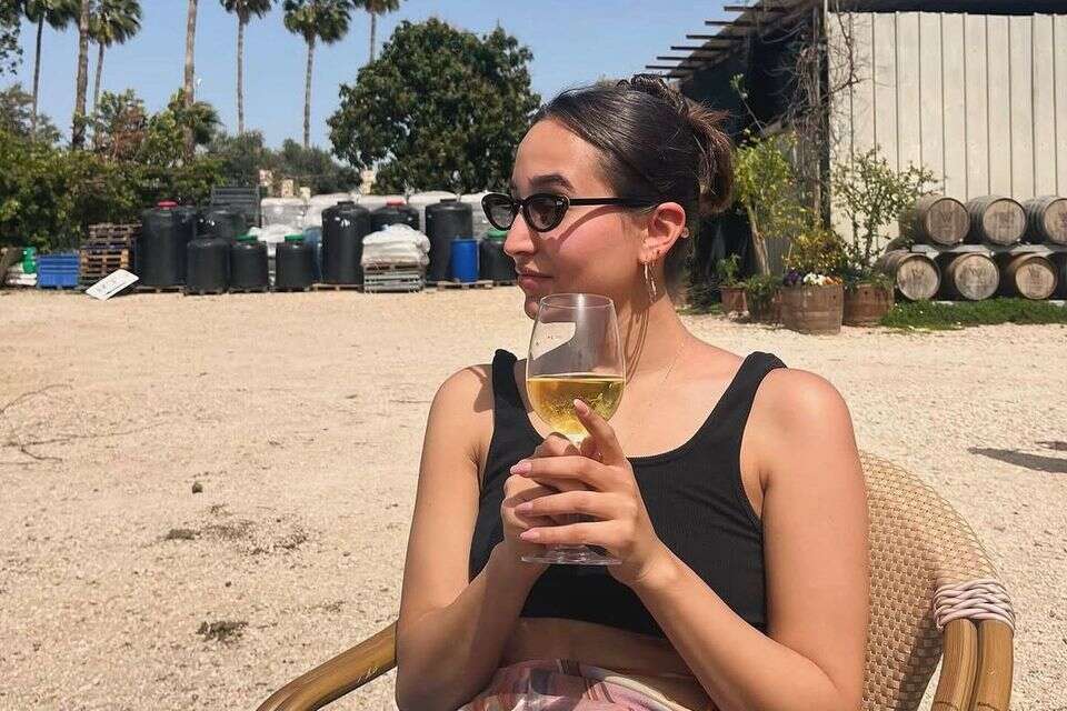 אנה פינס , אינסטגרם