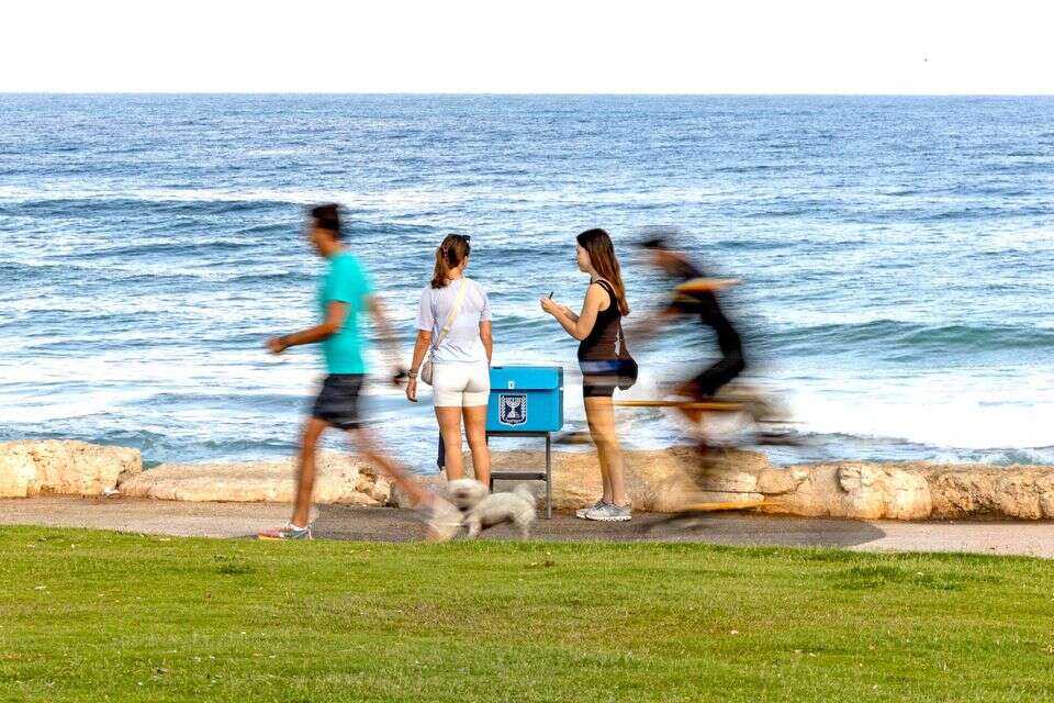מזג אוויר לבחירות , נעמה שטרן