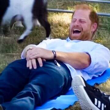 הנסיך הארי חטף בעיטה מעז באזור רגיש