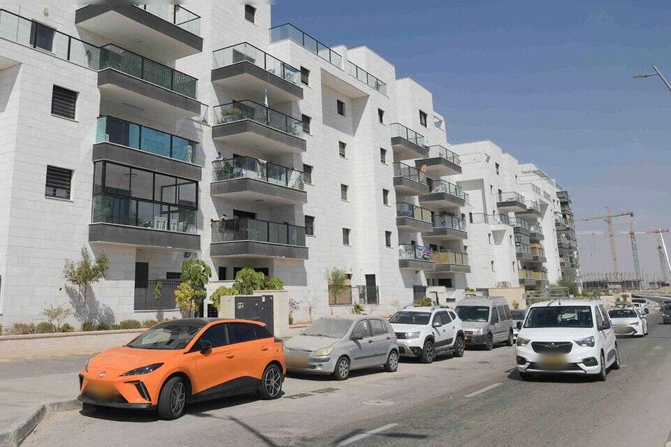 דירות , דודו גרינשפן