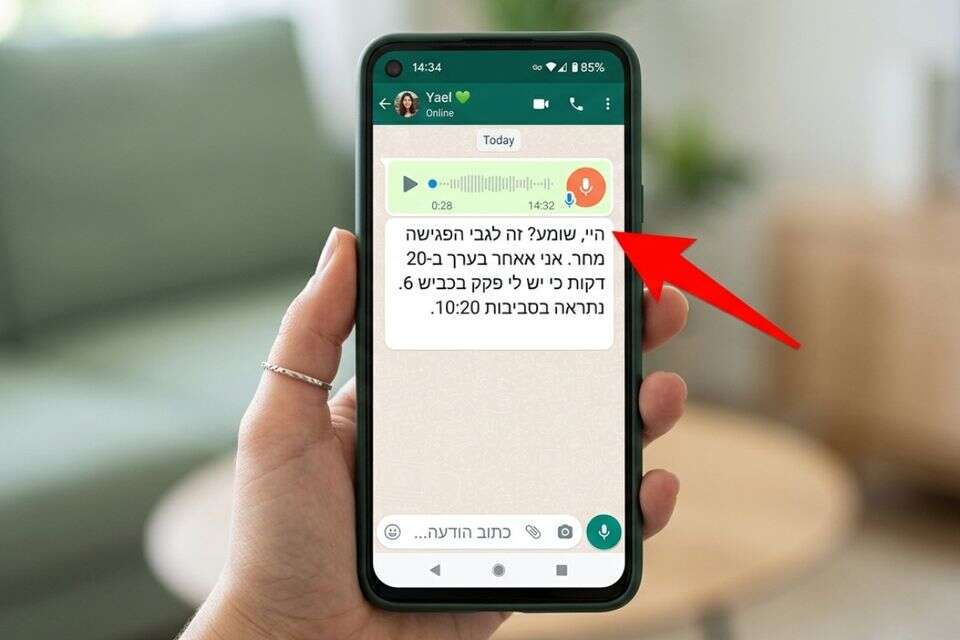צעד אחר צעד: הכפתור הסודי בוואטסאפ שיאפשר לכם לקרוא הודעות קוליות