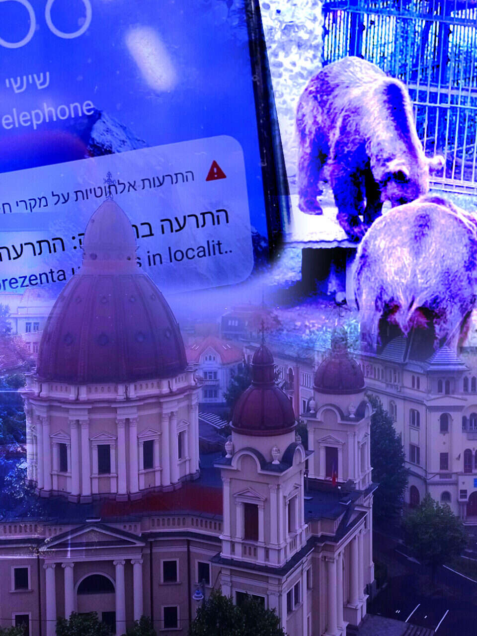 כשתטיילו כאן תקבלו התרעה לנייד: "זוהו דובים בסביבתך"