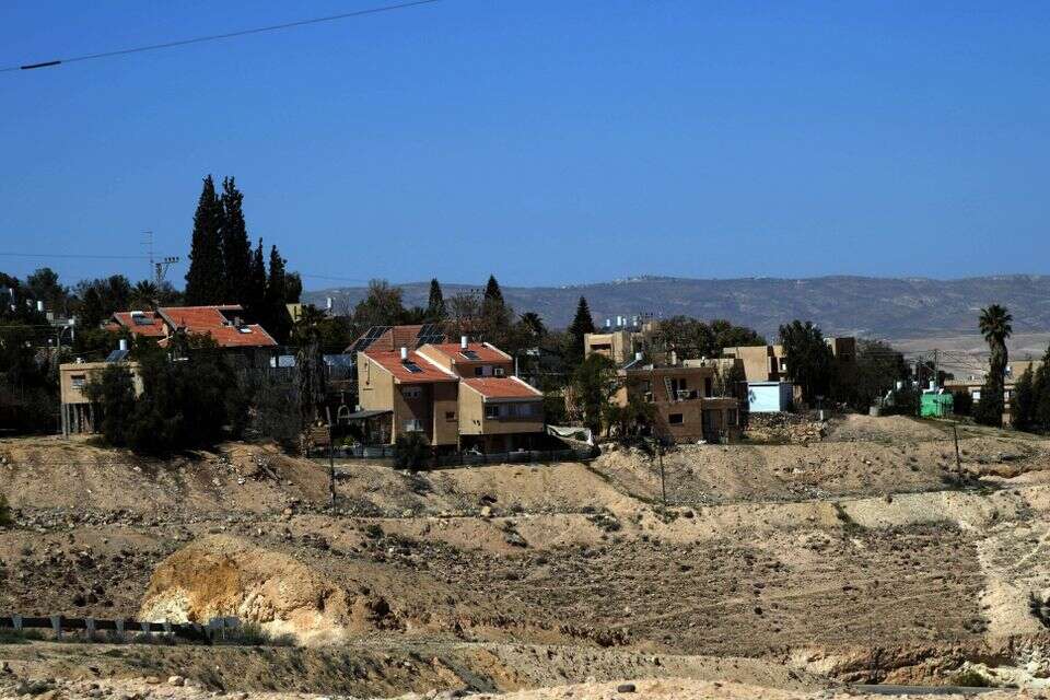 ערד , דודו גרינשפן