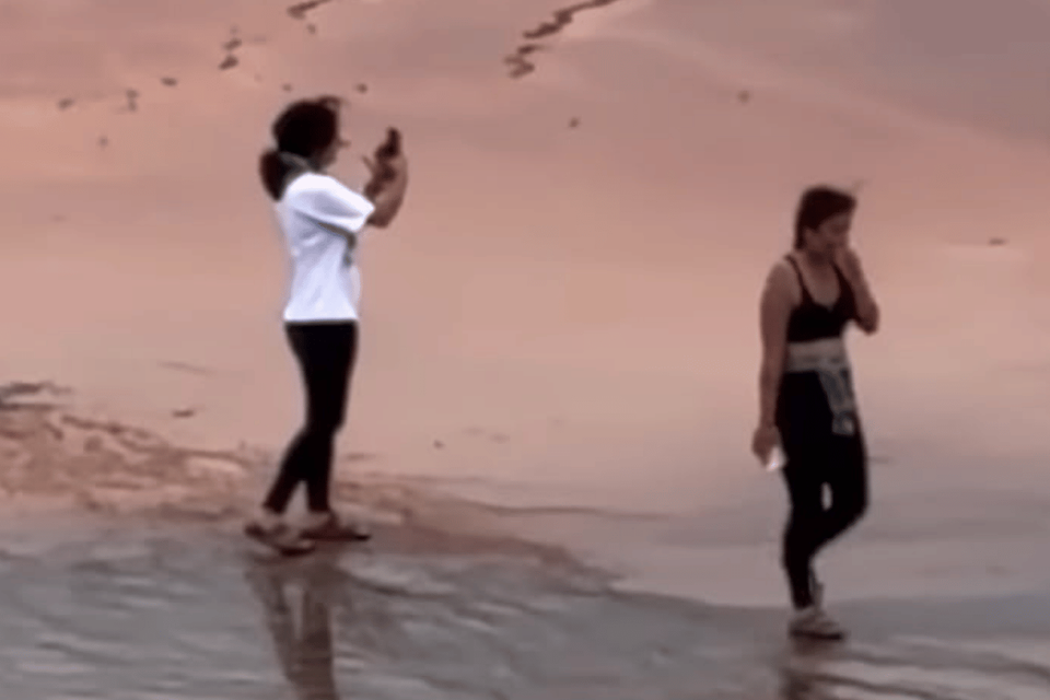 התיירות שצעדו על השביל המסוכן בפארק ילוסטון , צילום מסך