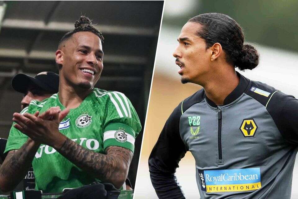 נייג'ל לונווייק וצ'רון שרי , FC wolverhampton wanderers וברני ארדוב
