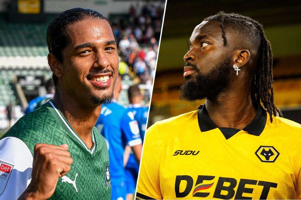 טולו ארוקודארה ונייג'ל לונווייק , FC wolverhampton wanderers