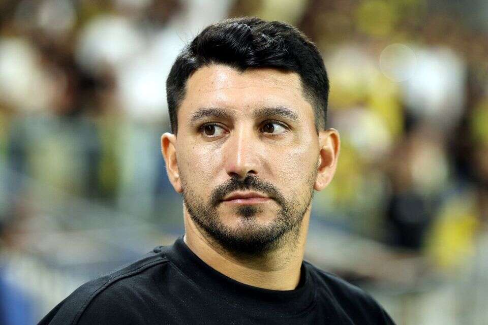 אלמוג כהן , אלן שיבר
