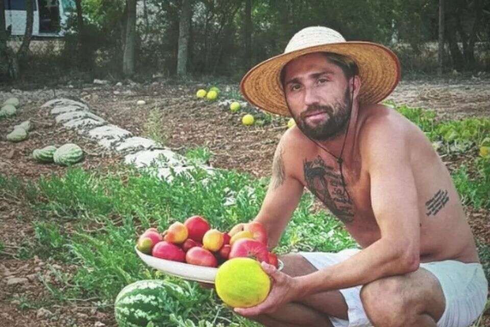 קווין קאמפל. מוצא נחמה בגידול פירות וירקות , אינסטגרם