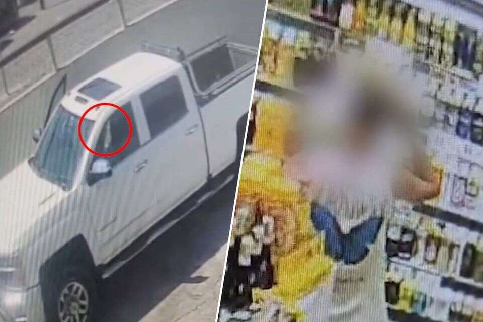 פורץ לרכב וגונב כרטיסי אשראי , משטרת ישראל