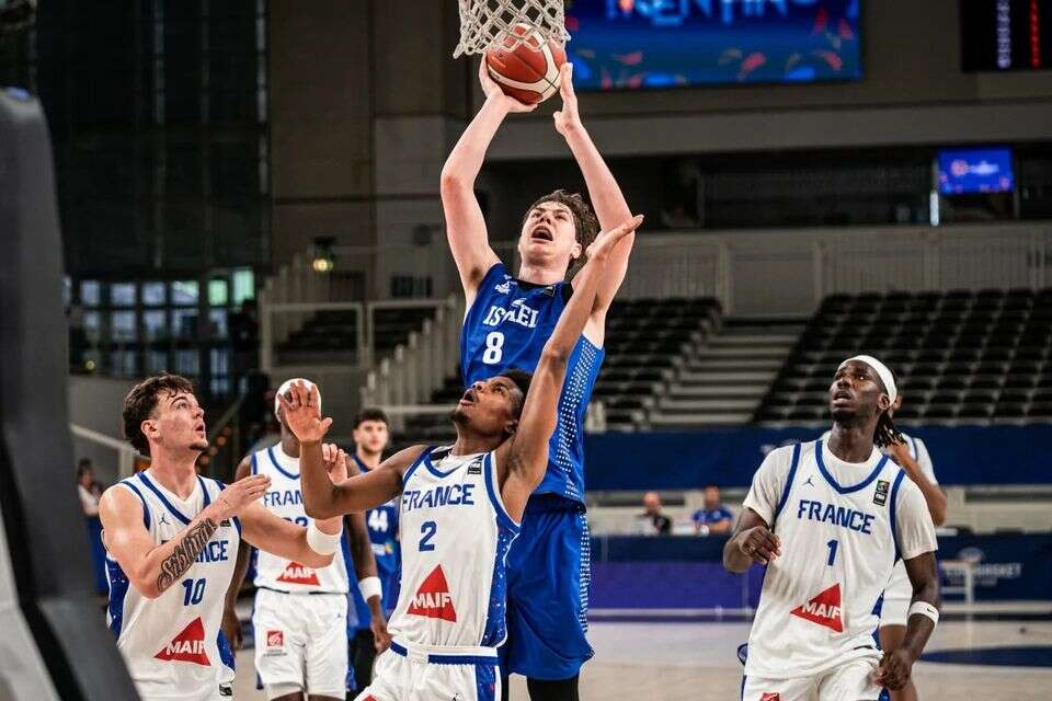 דויד מוזס , FIBA