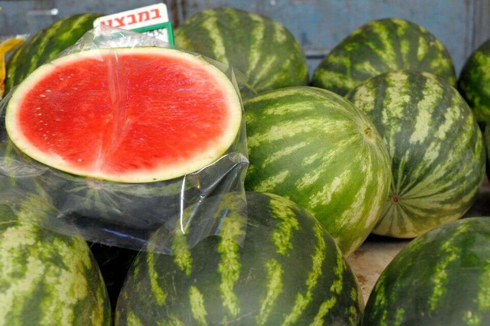 הדרך הנכונה לשמור על אבטיח טרי למשך זמן , יואב ארי דודקביץ                  