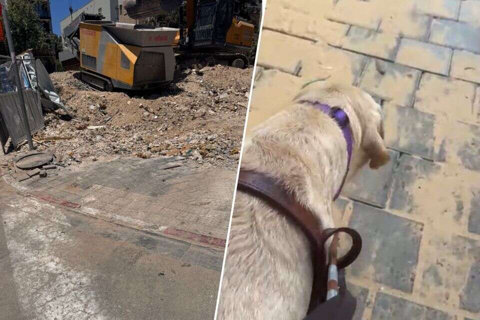 "אני עיוורת עם כלבת נחייה, אבל איכשהו נראה שעיריית תל אביב, חברת החשמל והקבלנים הם אלה שלא רואים אותי ממטר" , .