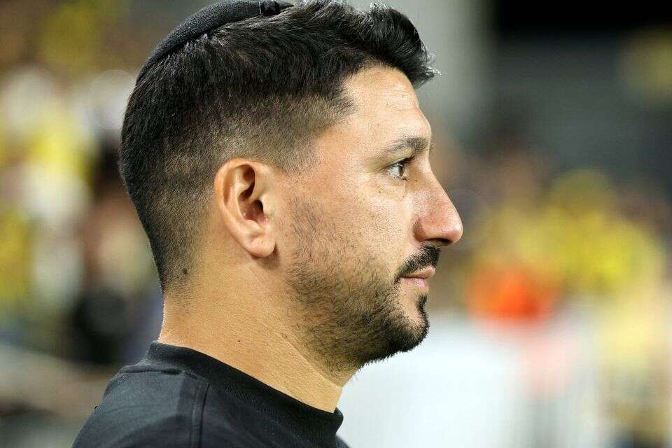 אלמוג כהן , אלן שיבר